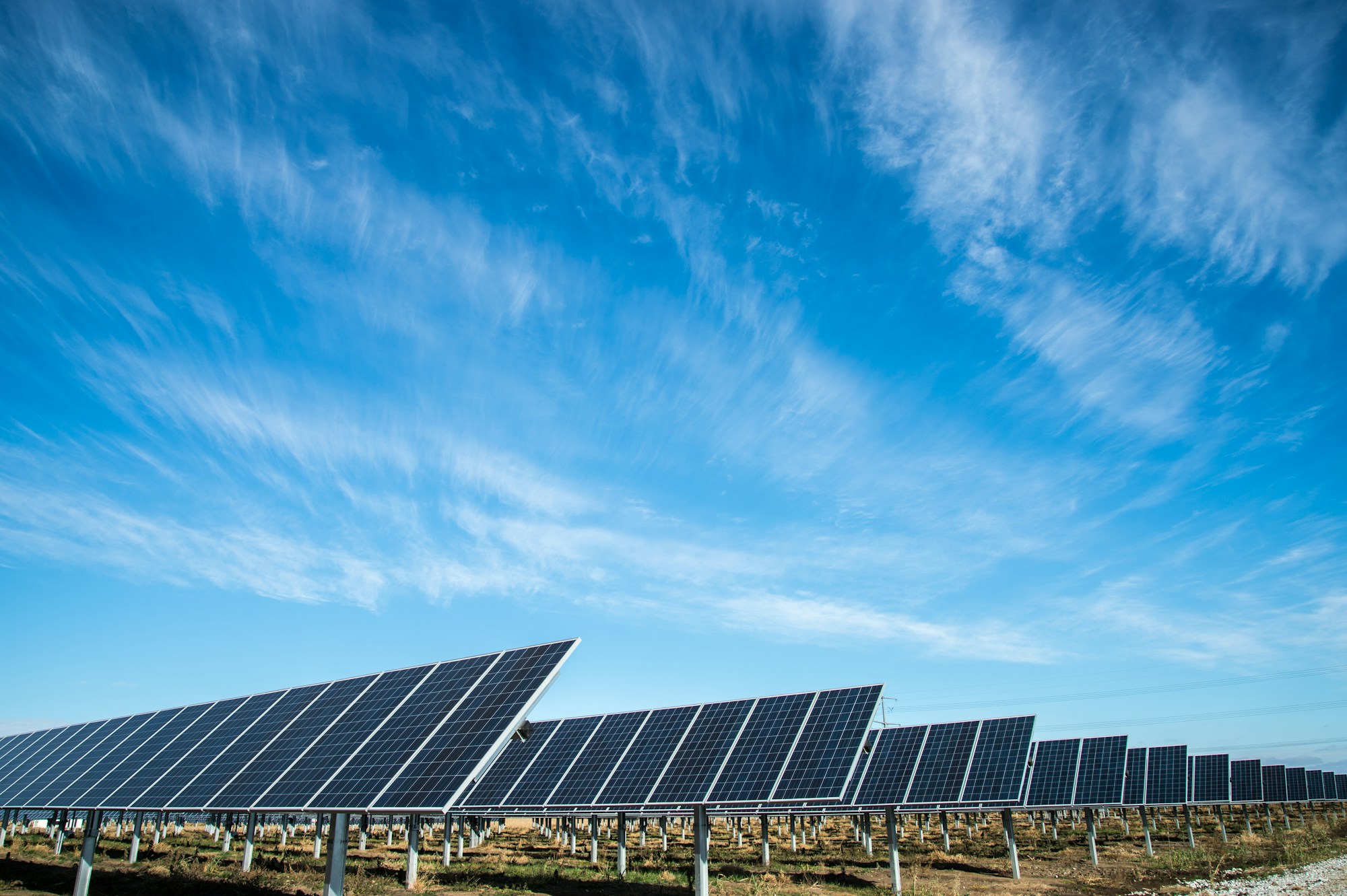 Champ de panneaux solaires captant la lumière